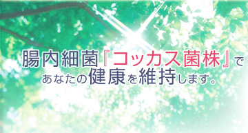 腸内細菌「コッカス菌株」であなたの健康を維持します。