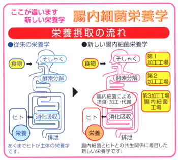 株式会社ルゥド 腸内細菌加工食品 コッカス.プレンティ-100のご紹介
